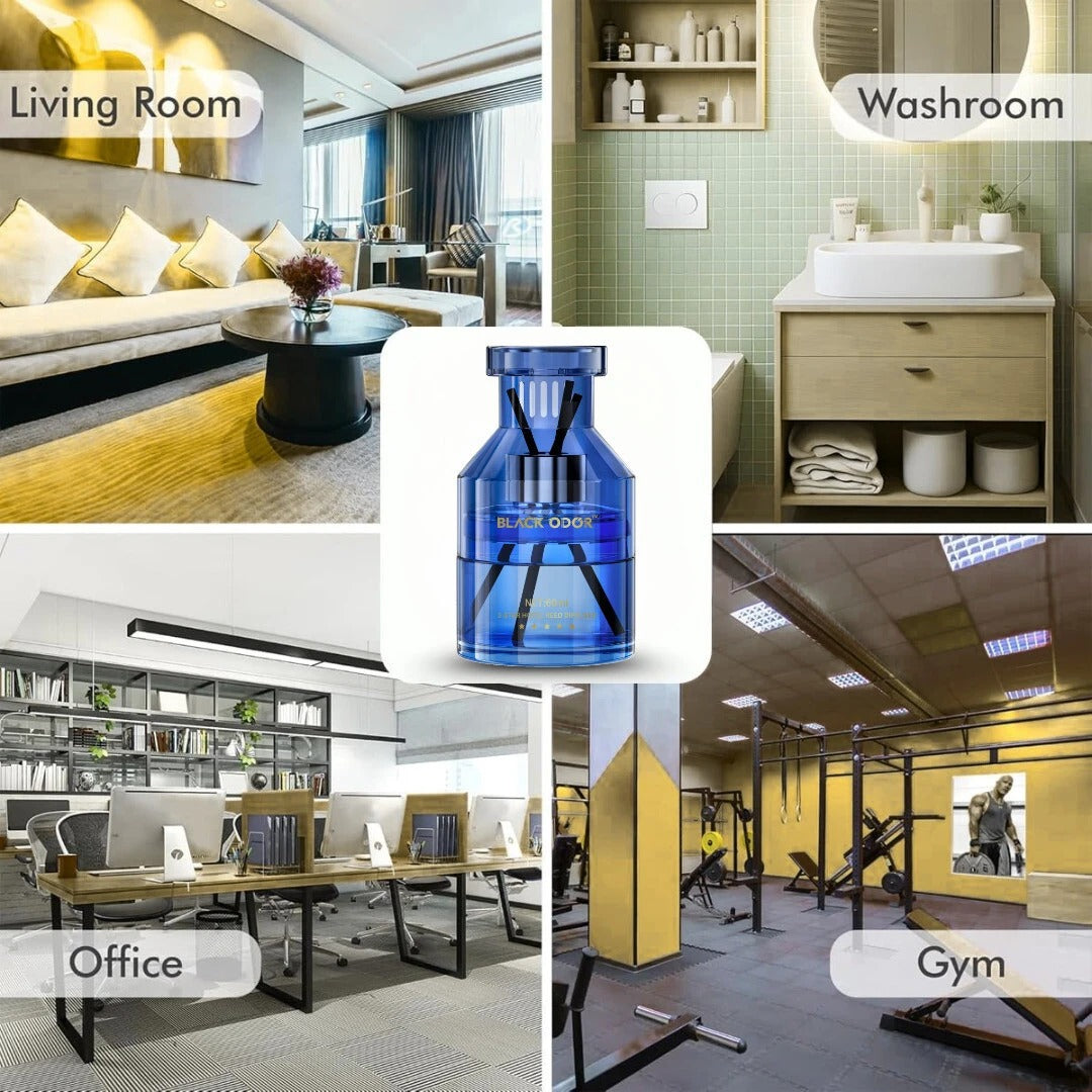 Black Odor Shangri-La air freshener, BO-12 vanilla fragrance car freshener, natural long-lasting air freshener, Shangri-La scent for car home office, premium car air freshener, oil-based car perfume, compact air freshener for rooms and vehicles, vanilla aroma air freshener, deodorizer for car and home, Black Odor BO-12 air freshener, multi-purpose freshener with vanilla scent, long-lasting fragrance gel for car and office.