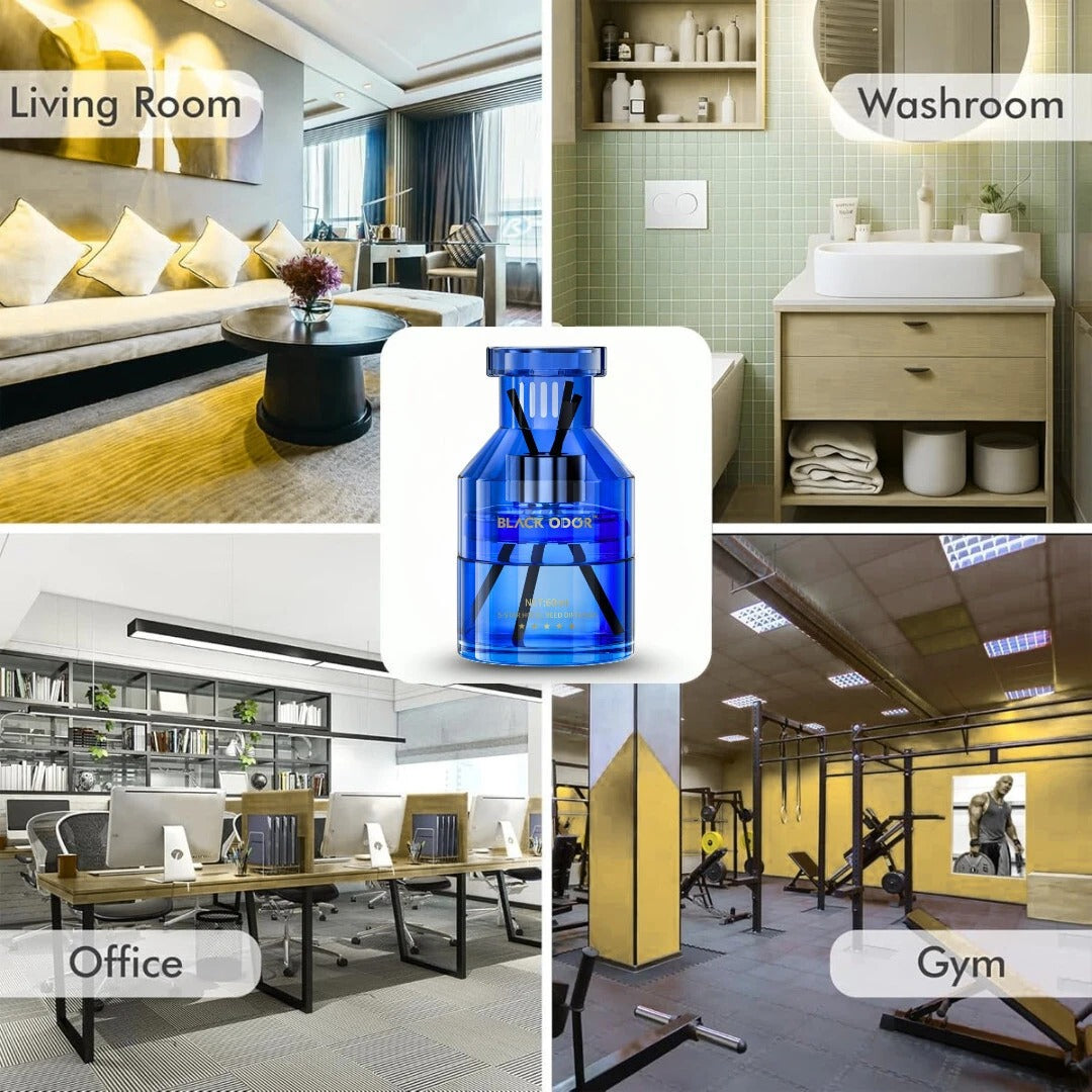 Black Odor Wood Cologne air freshener, BO-12 woody fragrance car freshener, natural long-lasting air freshener, wood cologne scent for car home office, premium car air freshener gel, masculine fragrance air freshener, oil-based car perfume, compact room and car freshener, deodorizer with wood cologne aroma, Black Odor BO-12 fragrance, multi-purpose air freshener for vehicle and home, long-lasting woody scent freshener.